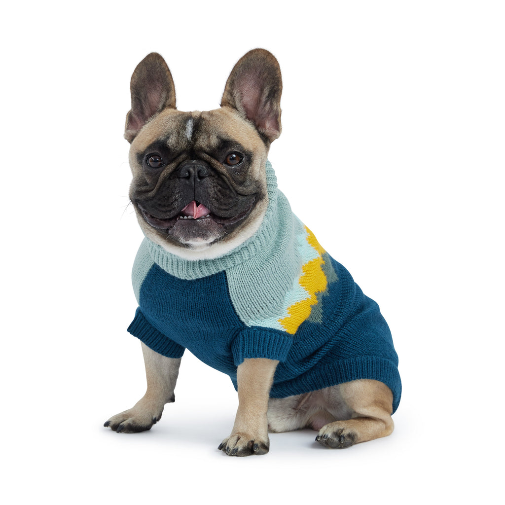 GF PET Fireside Dog Sweater - Teal