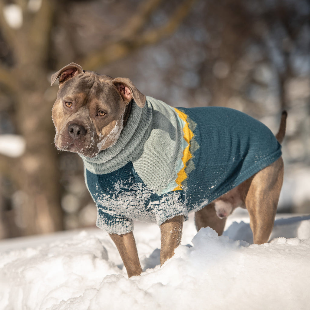 GF PET Fireside Dog Sweater - Teal