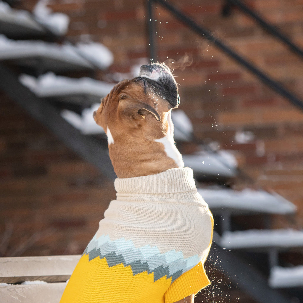 GF PET Fireside Dog Sweater - Yellow