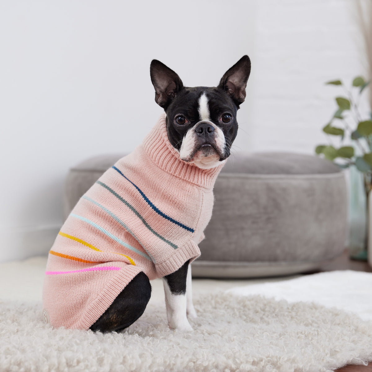 GF PET Arctic Dog Sweater - Pink