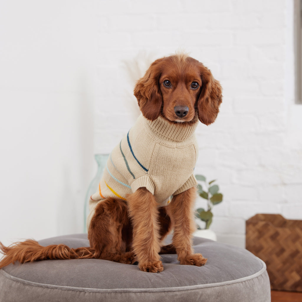 GF PET Arctic Dog Sweater - Sand