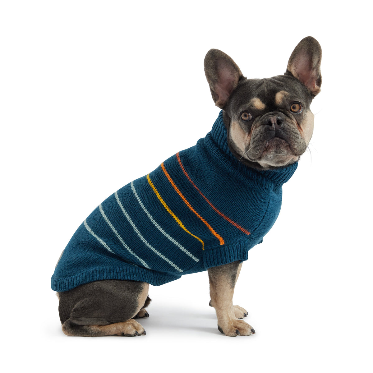 GF PET Arctic Dog Sweater - Teal
