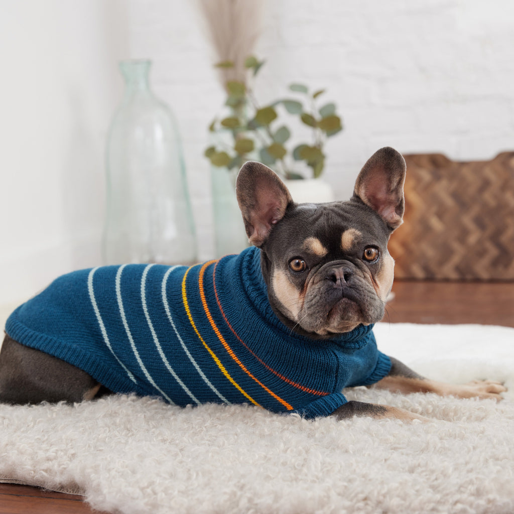 GF PET Arctic Dog Sweater - Teal