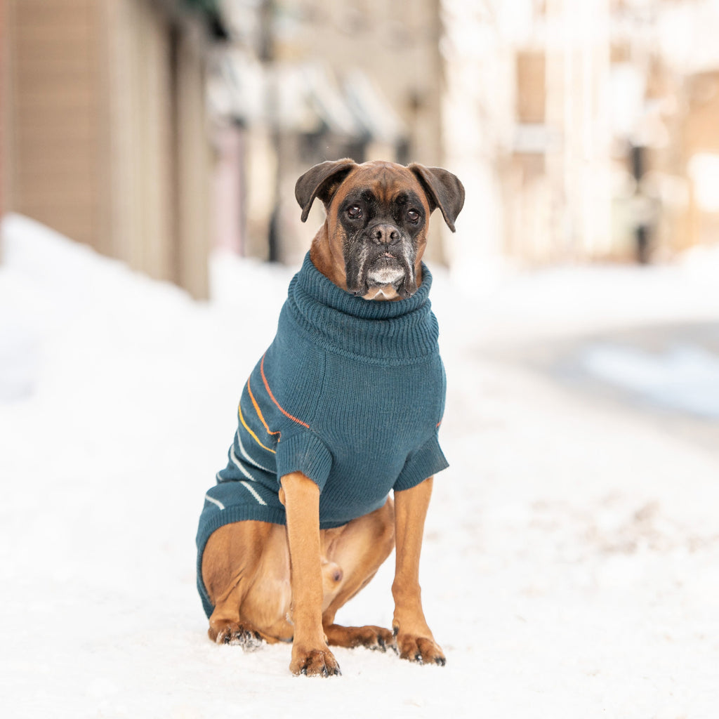 GF PET Arctic Dog Sweater - Teal