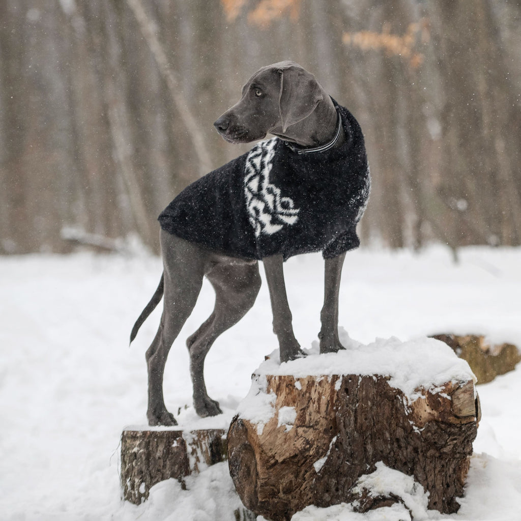 GF PET Fuzzy Dog Sweater