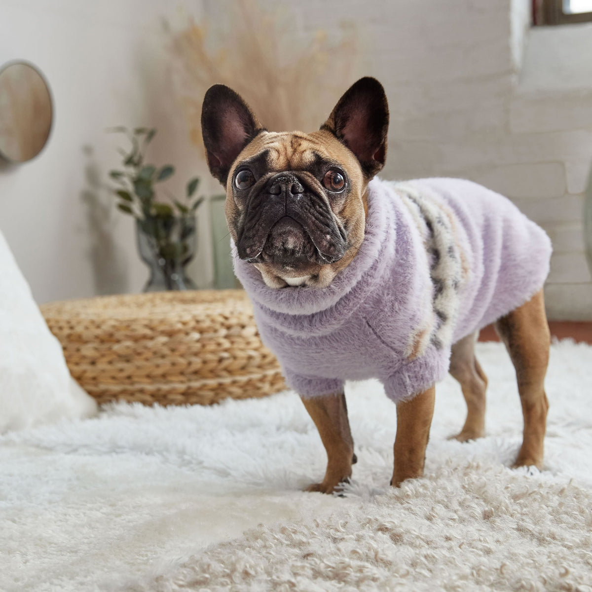 GF PET Fuzzy Dog Sweater