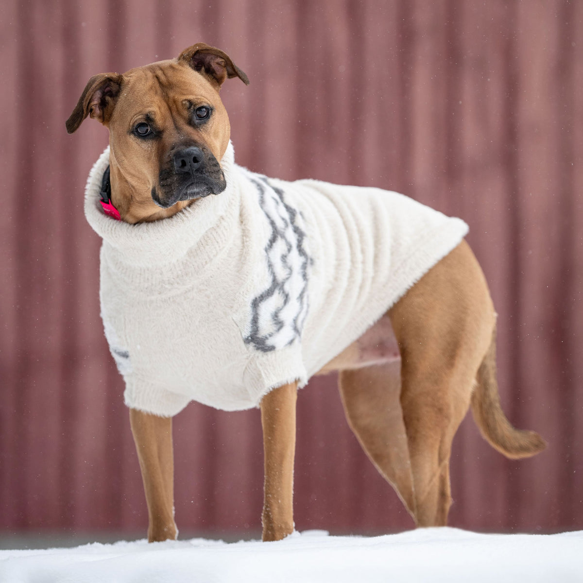 GF PET Fuzzy Dog Sweater