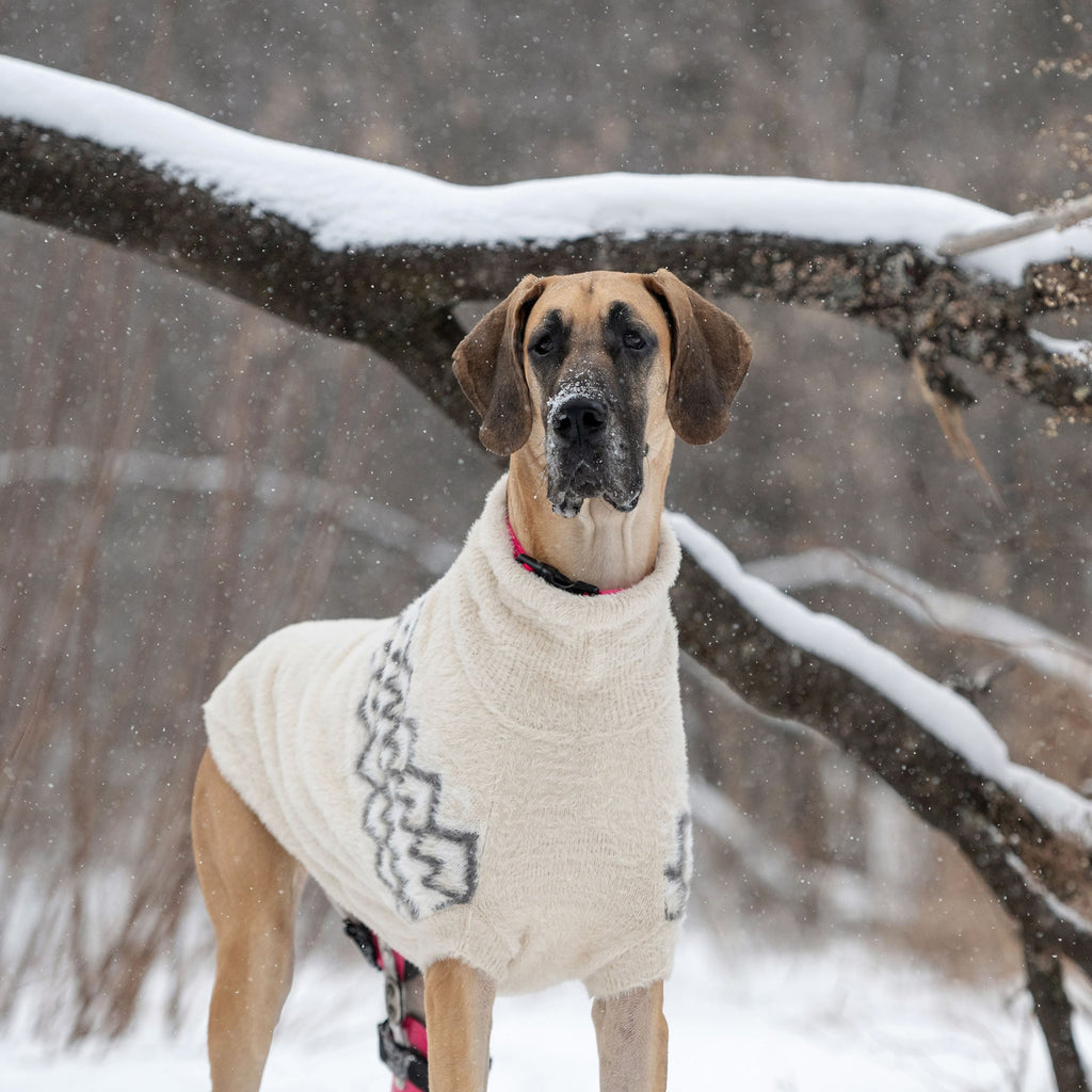 GF PET Fuzzy Dog Sweater