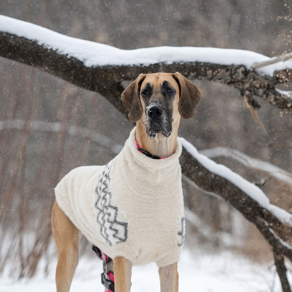 GF PET Fuzzy Dog Sweater