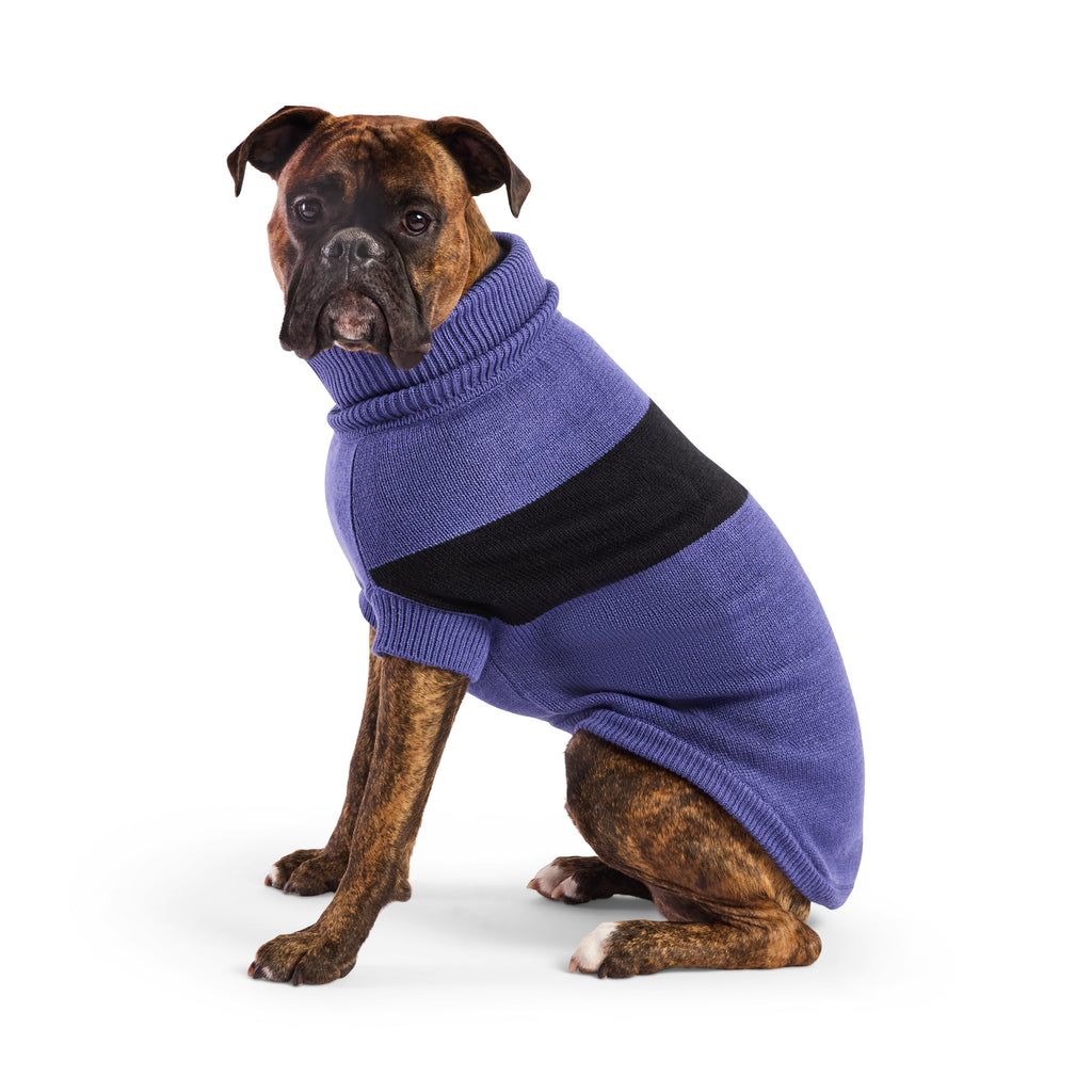 GF PET Catalyst Dog Sweater