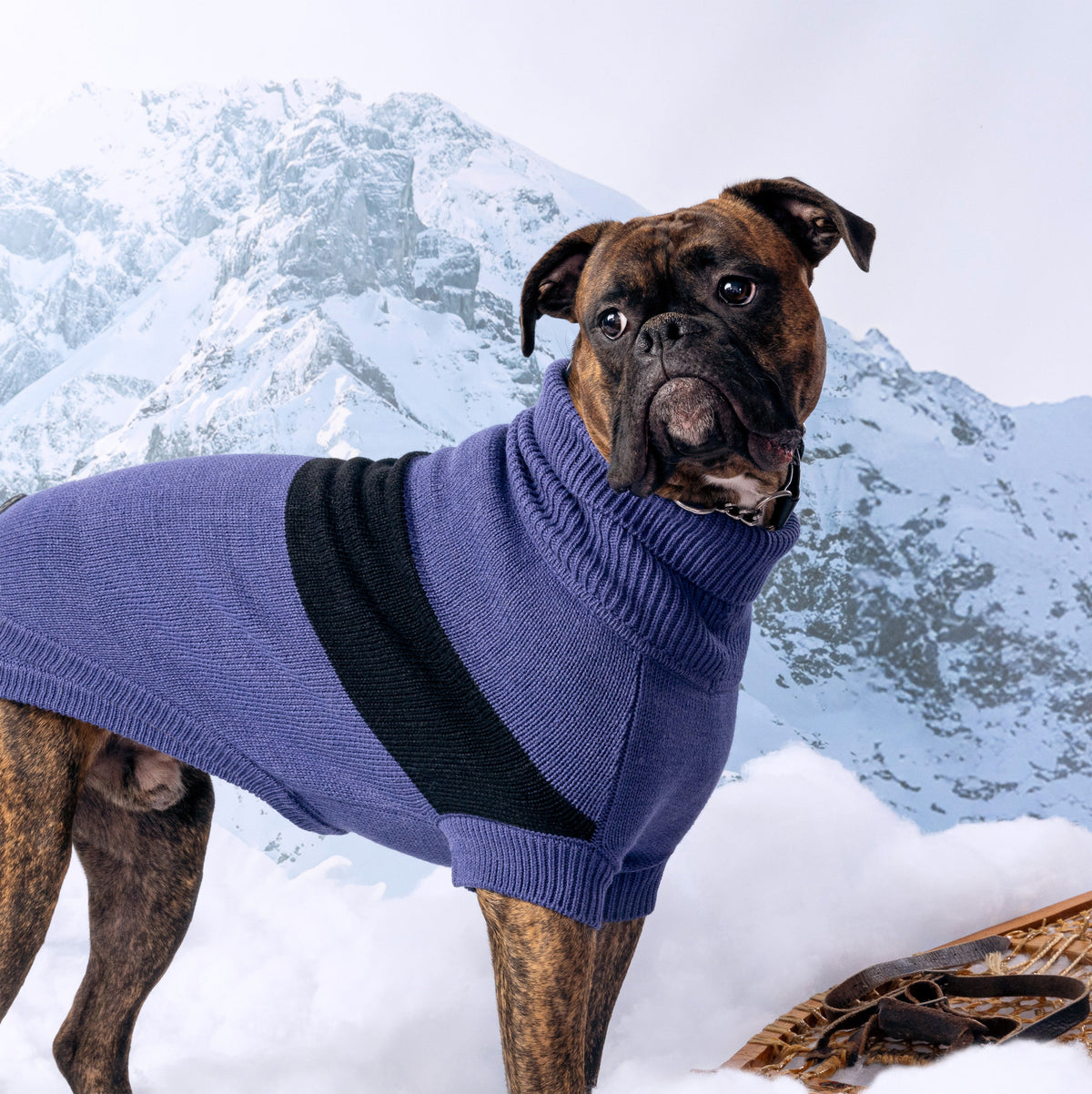GF PET Catalyst Dog Sweater