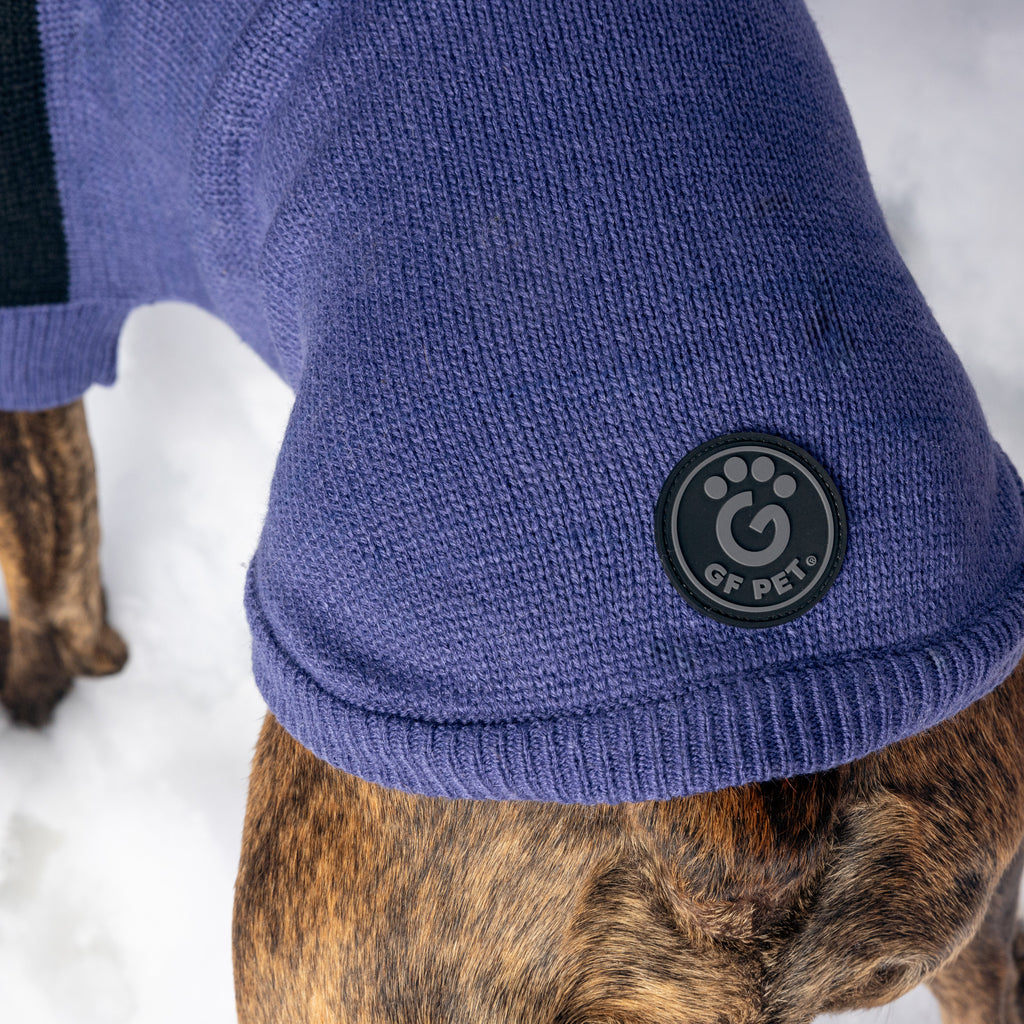 GF PET Catalyst Dog Sweater