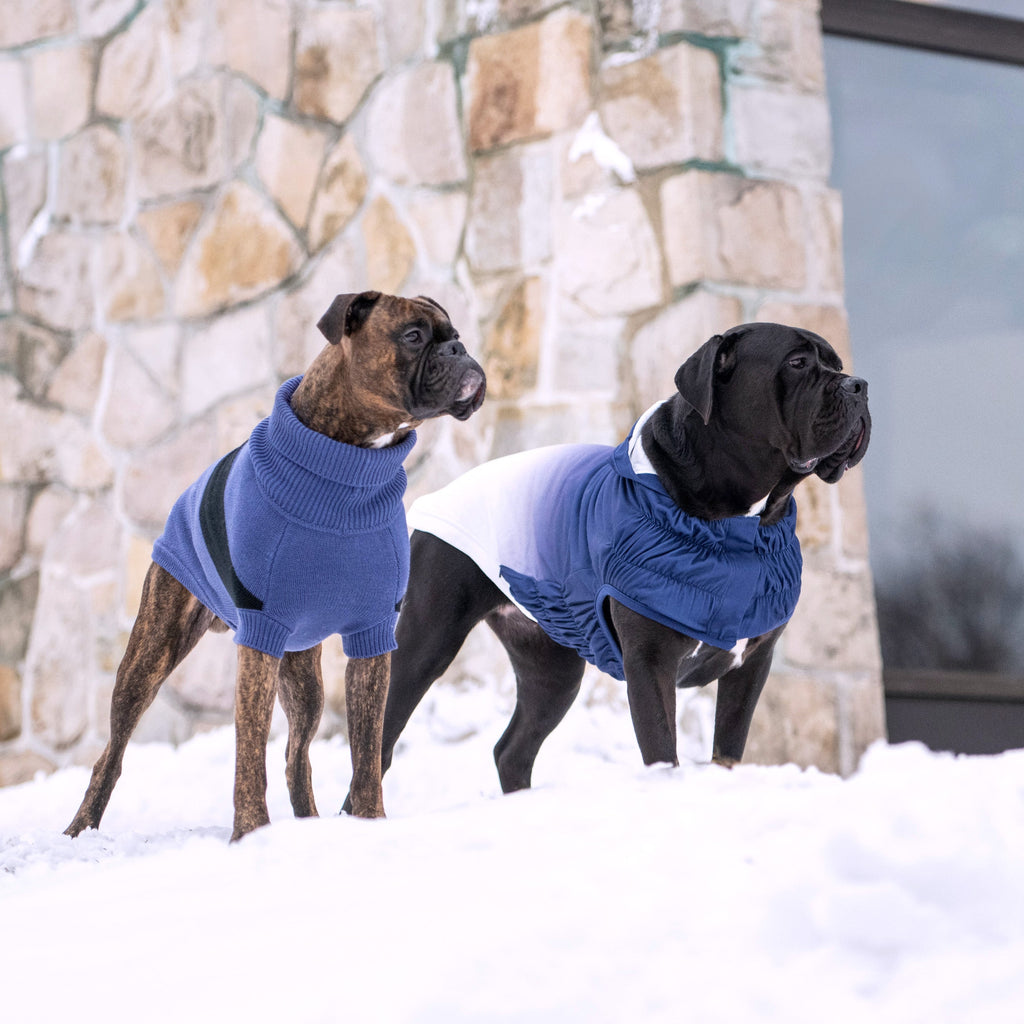 GF PET Catalyst Dog Sweater