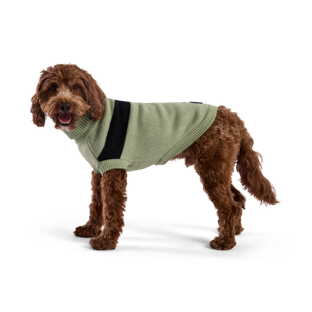 GF PET Catalyst Dog Sweater