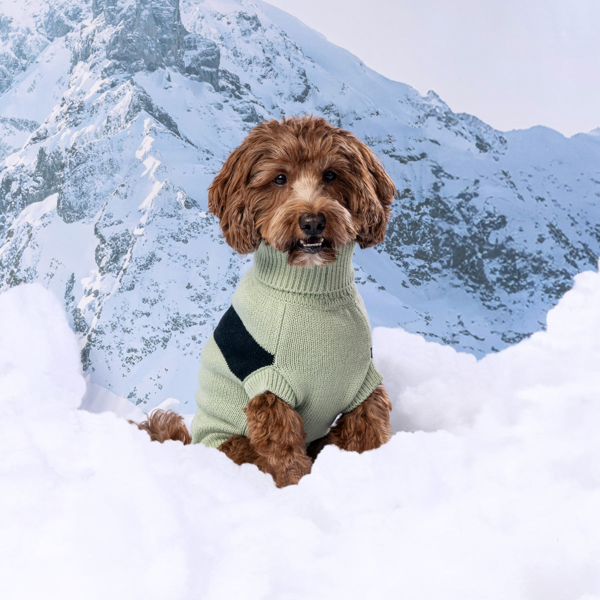 GF PET Catalyst Dog Sweater