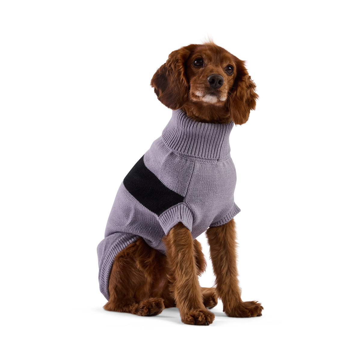 GF PET Catalyst Dog Sweater