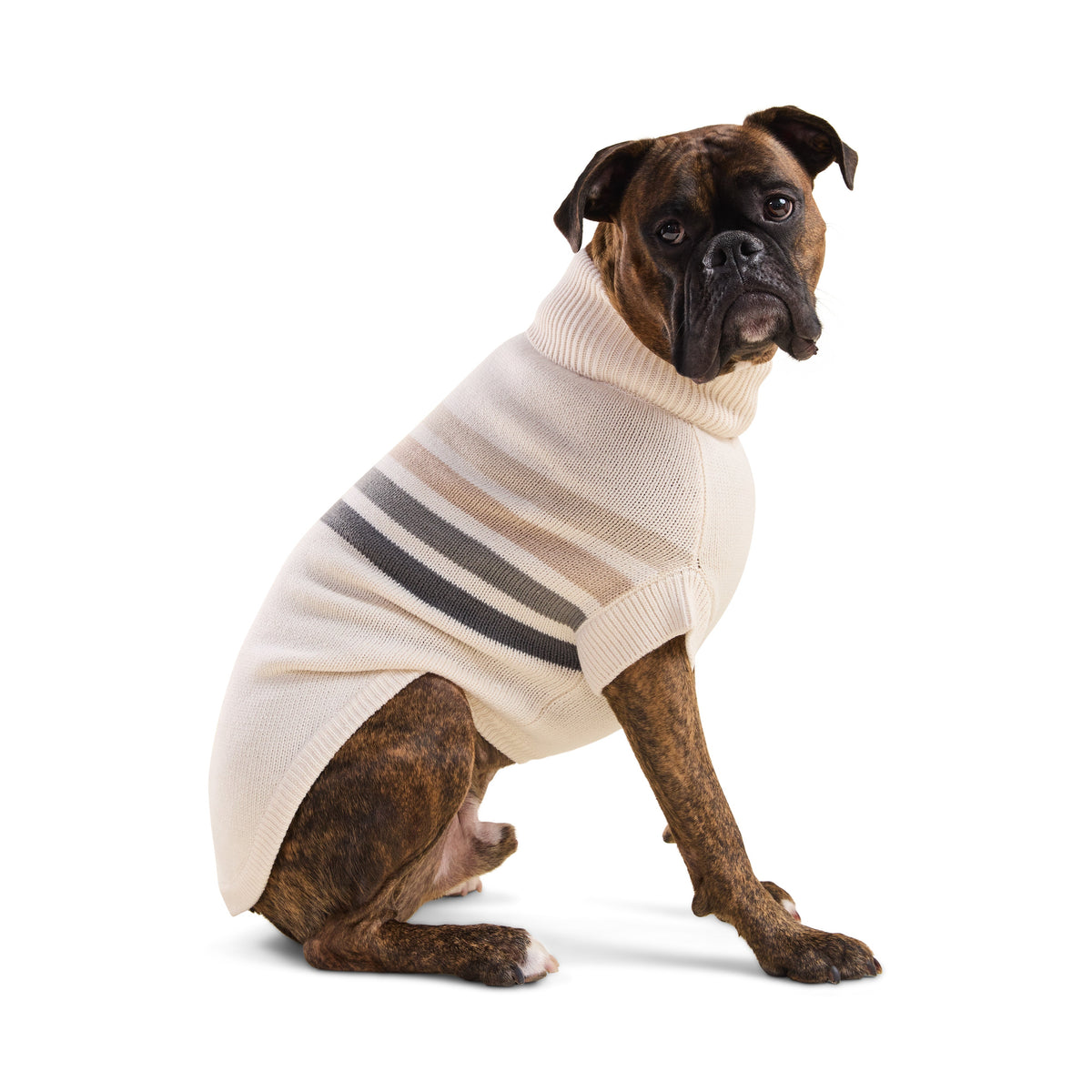 GF PET Coastline Knit Dog Sweater