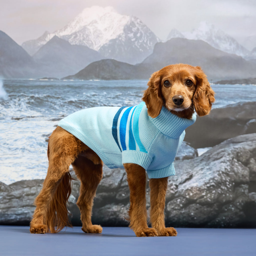 GF PET Coastline Knit Dog Sweater