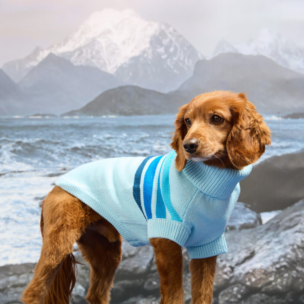 GF PET Coastline Knit Dog Sweater