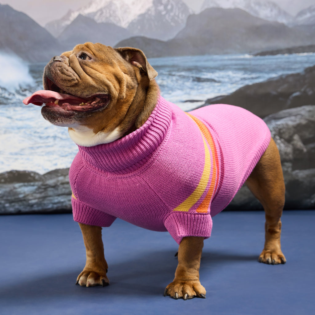 GF PET Coastline Knit Dog Sweater