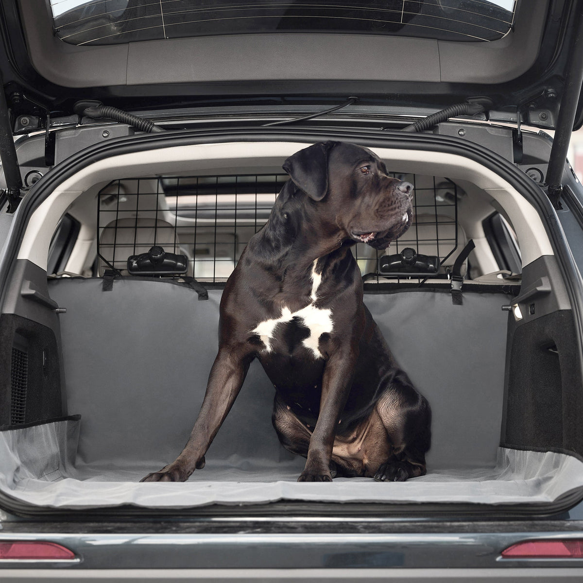GF PET Pet Cargo Cover