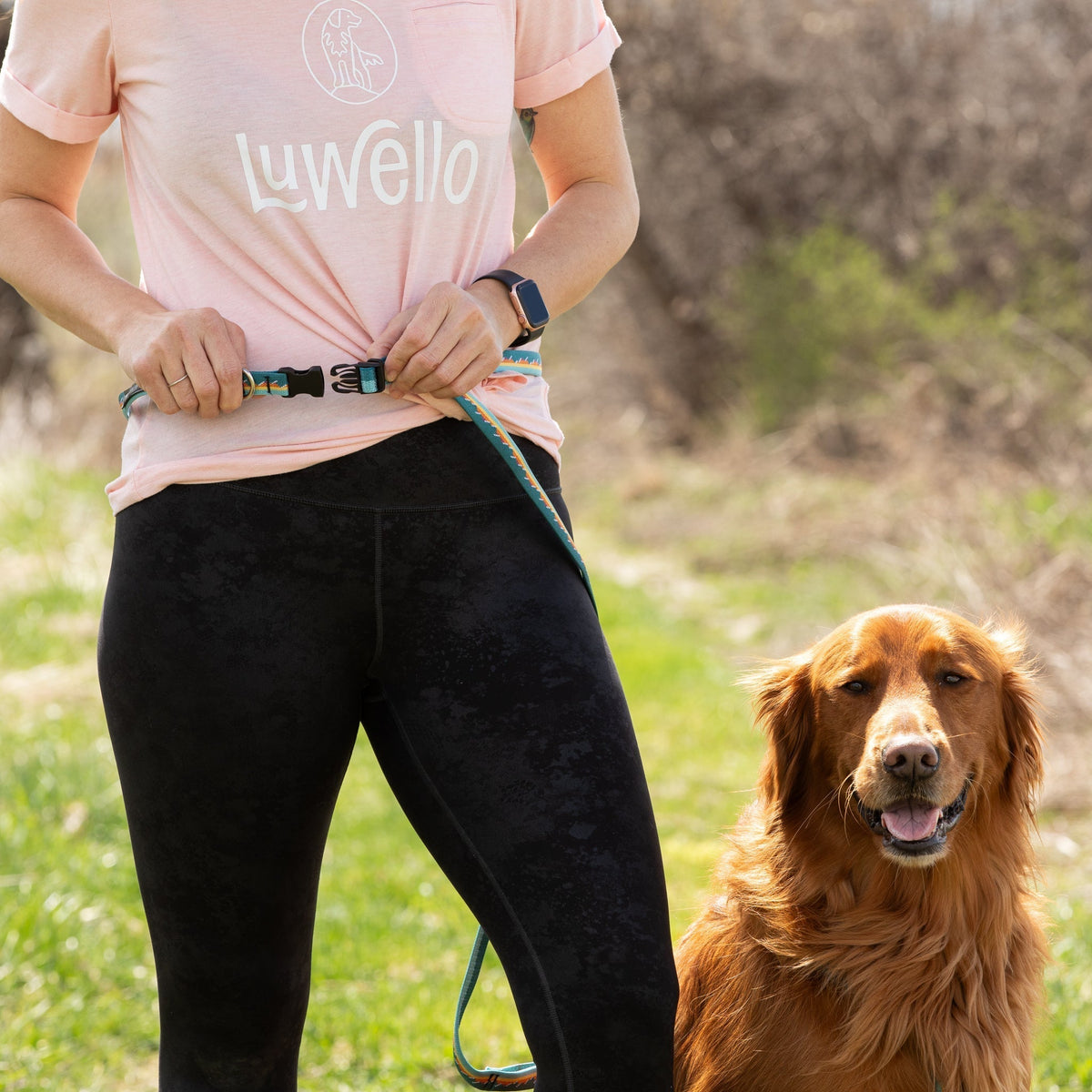 Adjustable Hands-Free Leash - 3/4-Inch