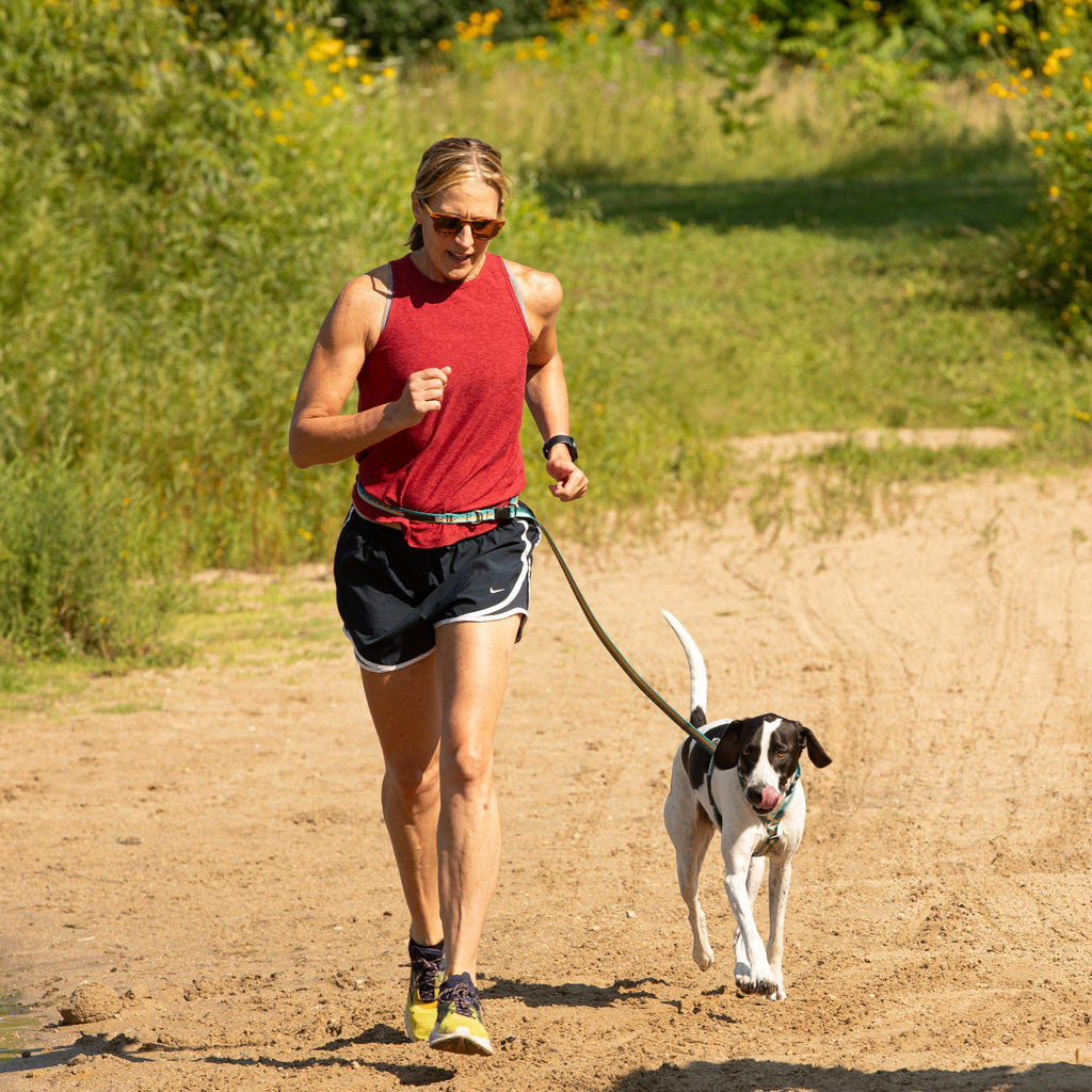 Adjustable Hands-Free Leash - 3/4-Inch