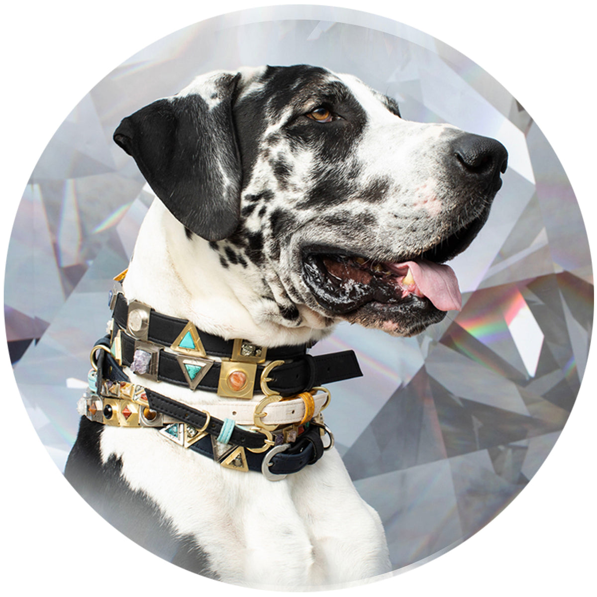 Diphda Diamond Cork Leather Collar