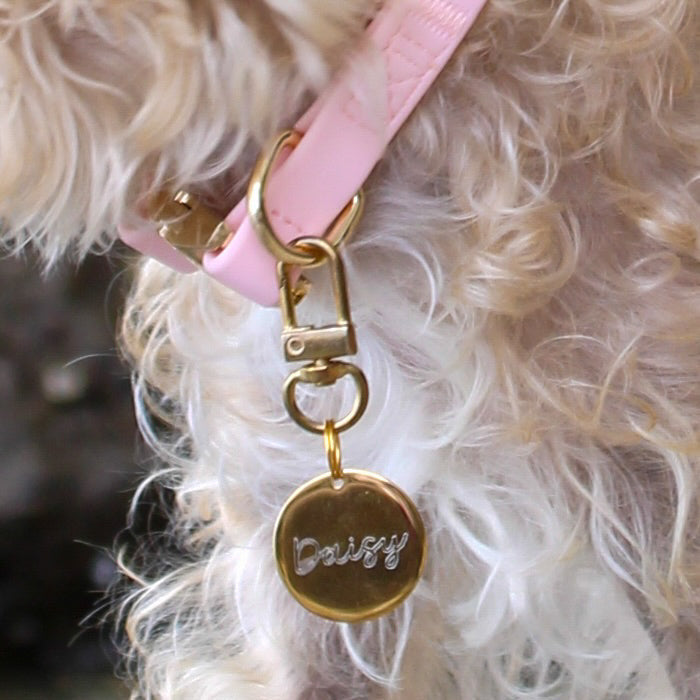 Fur Elise Dog Collar - Rose — collar styling detail
