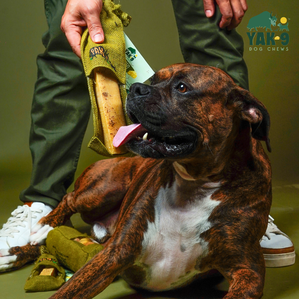 yak9 - Flaxseed Yak Chews for Dogs
