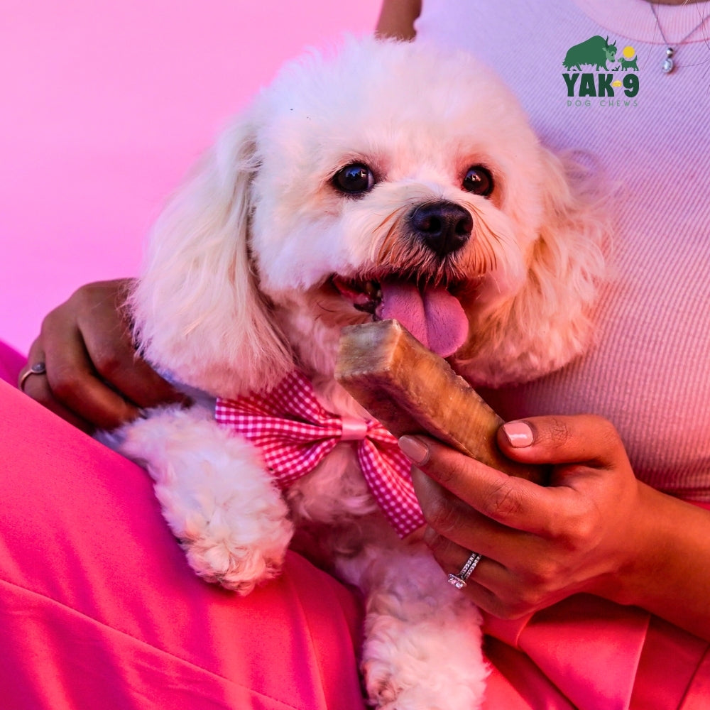 yak9 - Strawberry Cheese Chews for Dogs