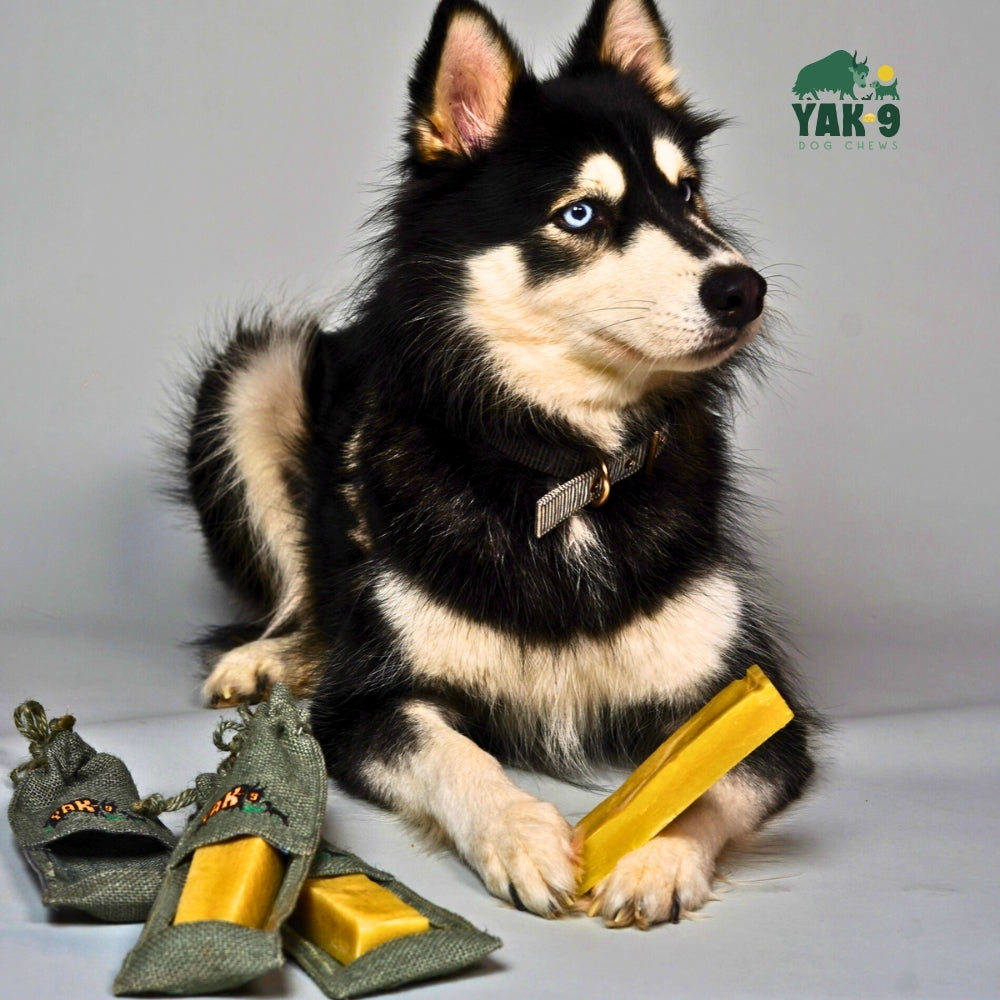 yak9 - Yak and Cow Milk Chews for Dogs