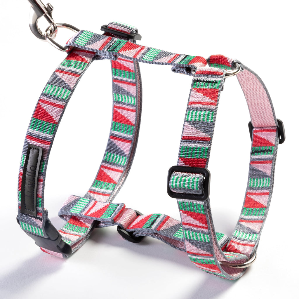 Adjustable Dog Harness - 1-Inch
