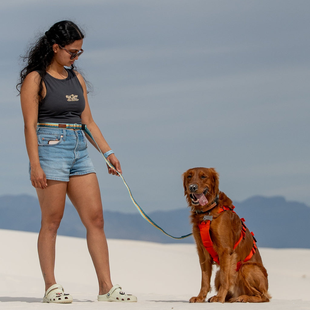 Adjustable Hands-Free Leash - 3/4-Inch
