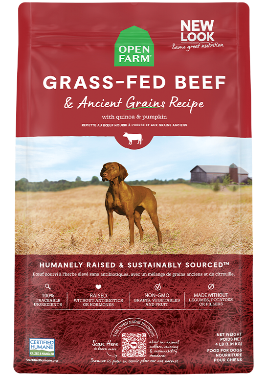 Open Farm Grass-Fed Beef & Ancient Grains Dry Dog Food - 22 lb