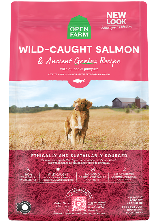 Open Farm Wild-Caught Salmon & Ancient Grains Dry Dog Food - 22 lb