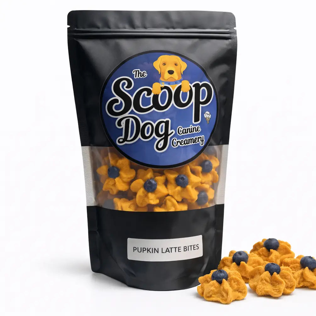 Pupkin Latte Bites with a Blueberry Topper