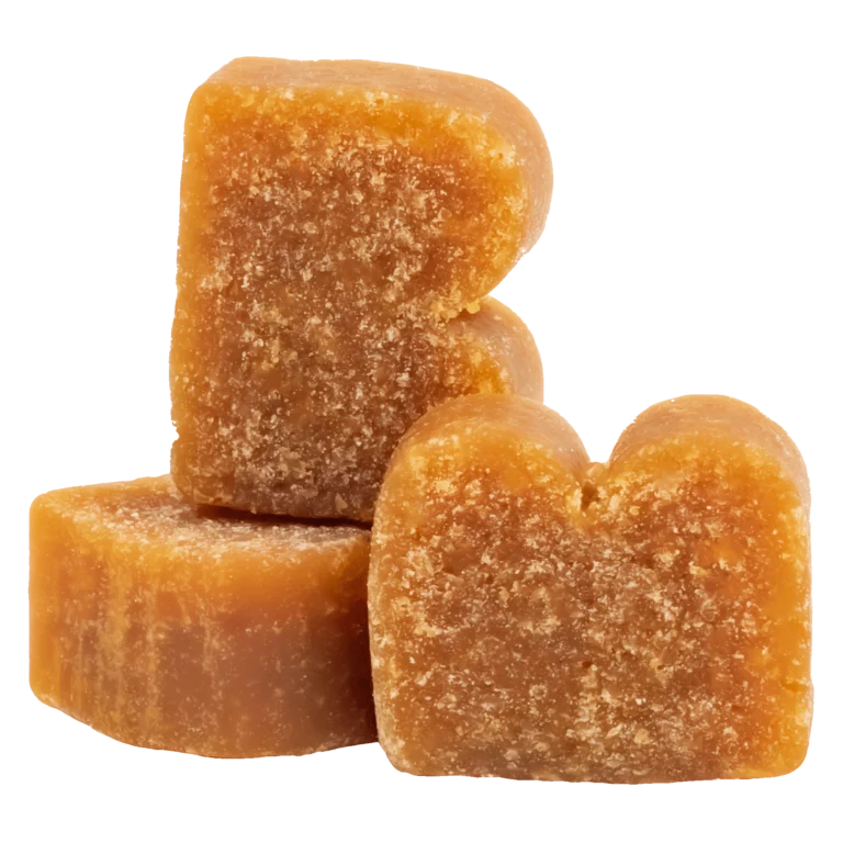 BIXBI Pocket Trainers Salmon Dog Treats - 6 oz