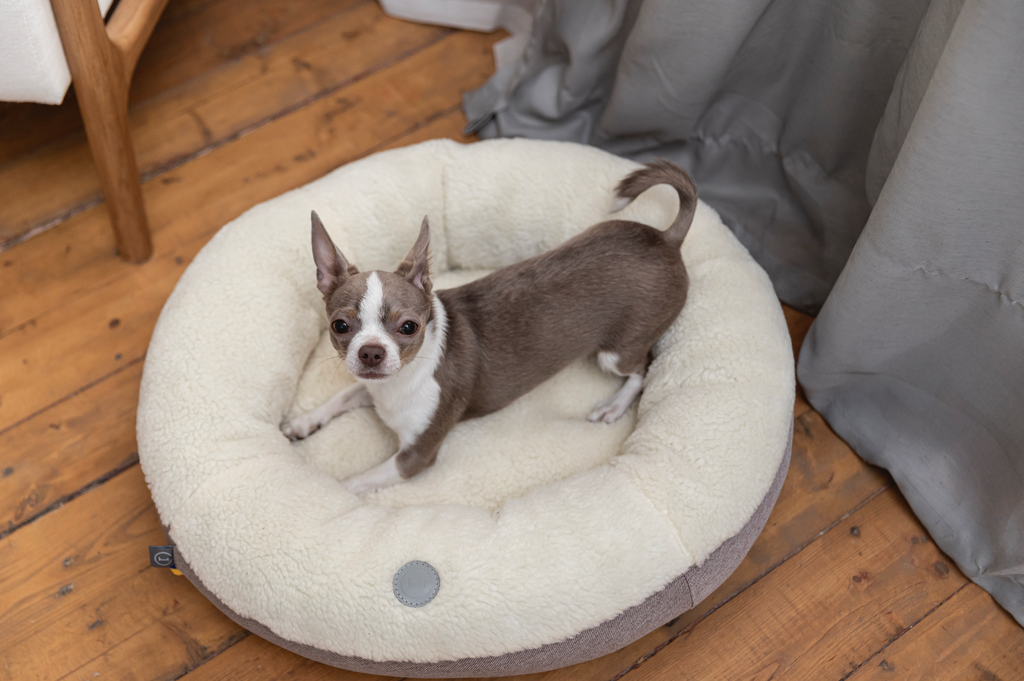 Chester & Lee - Furry Beige Donut Dog Bed