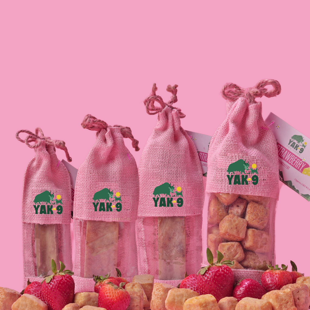 yak9 - Strawberry Cheese Chews for Dogs