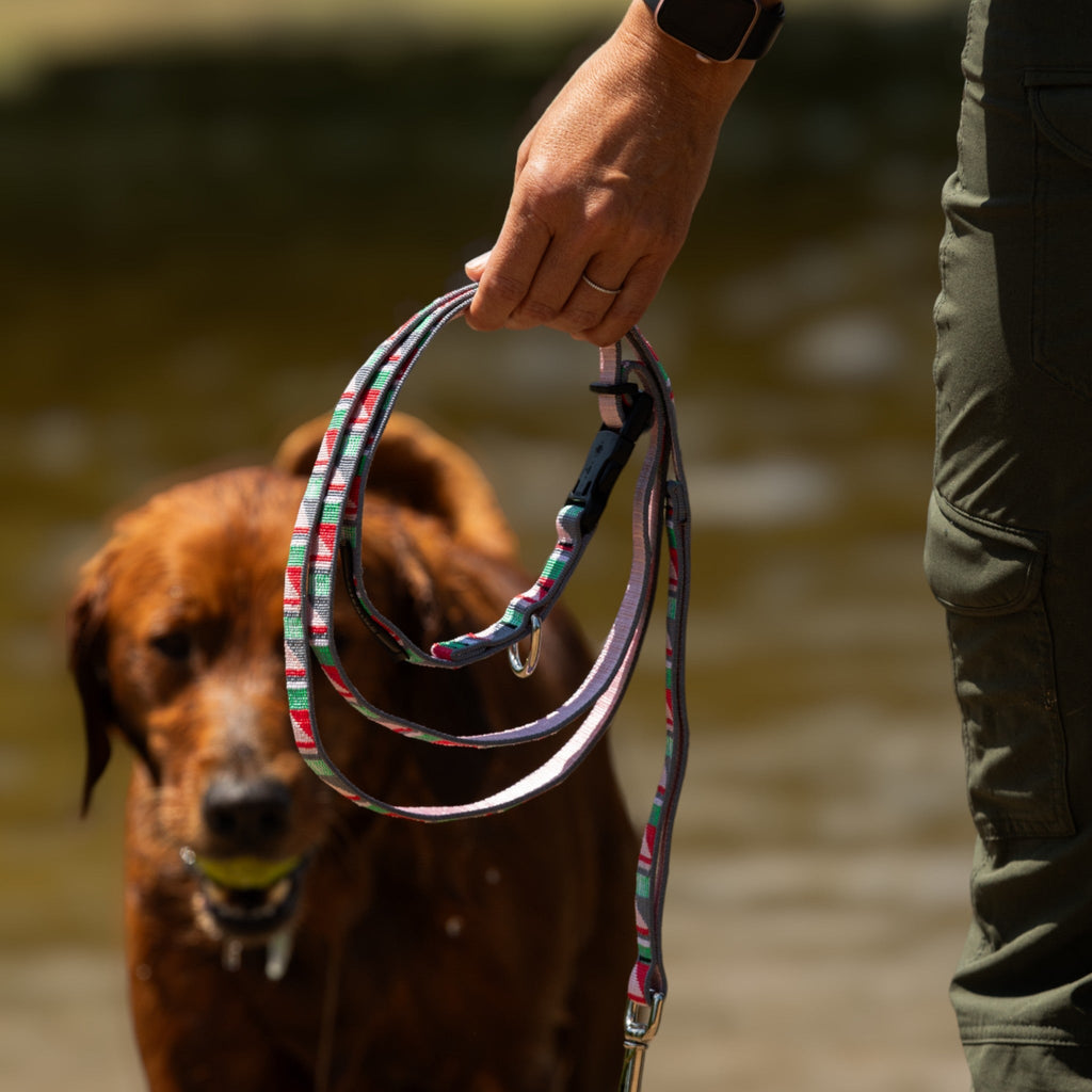 Adjustable Hands-Free Leash - 1-Inch