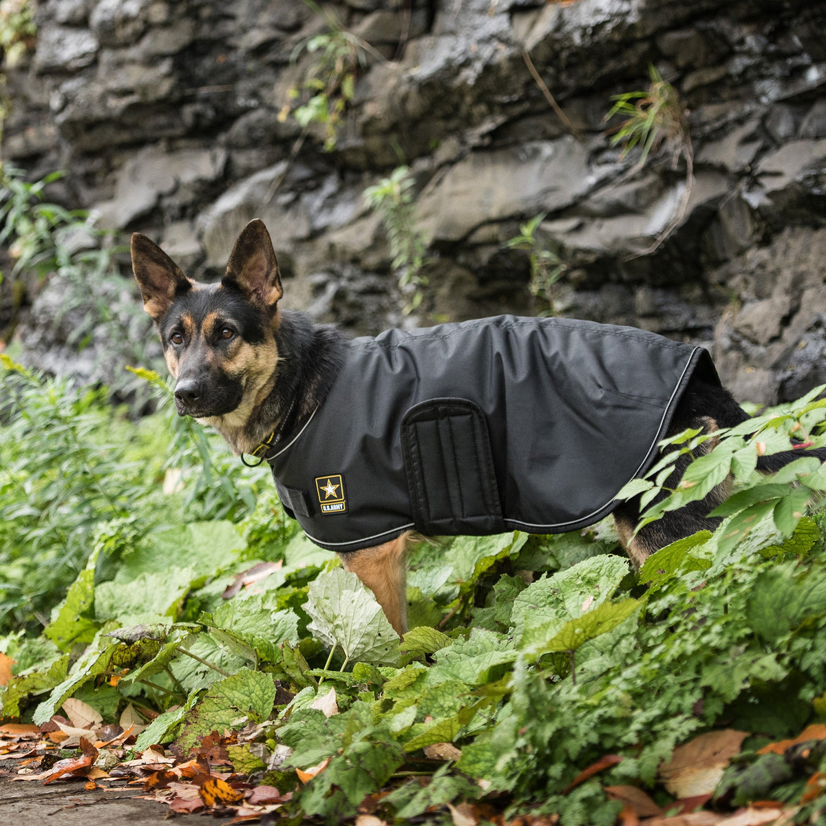 GF PET US Army Dog Blanket Jacket - Black