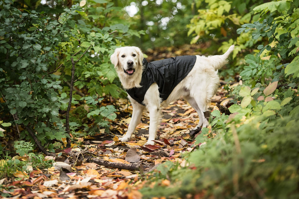 GF PET US Army Packable Dog Raincoat - Black
