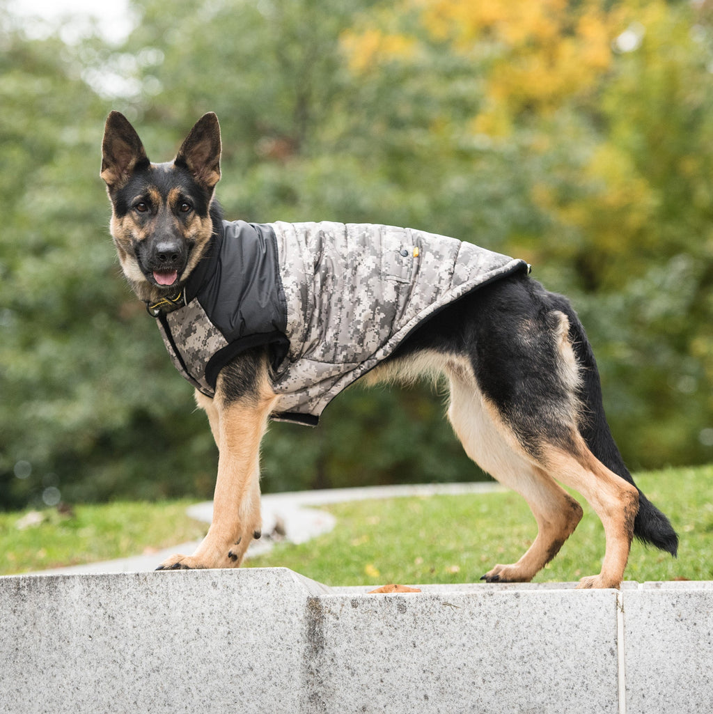 GF PET US Army Dog Jacket - Camo