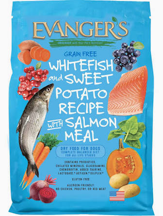 Evangers Grain Free Whitefish And Sweet Potato Recipe With Salmon Meal 33lbs