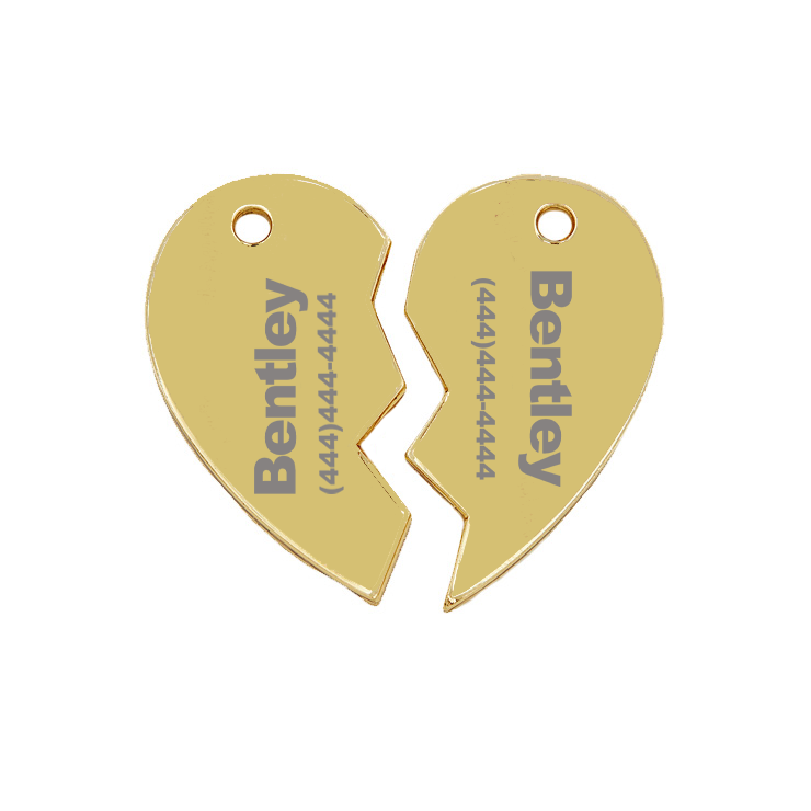 BFF Pet ID Tags Pink and Blue
