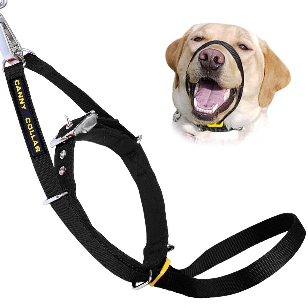 Canny Collar - Dog Training Headcollar