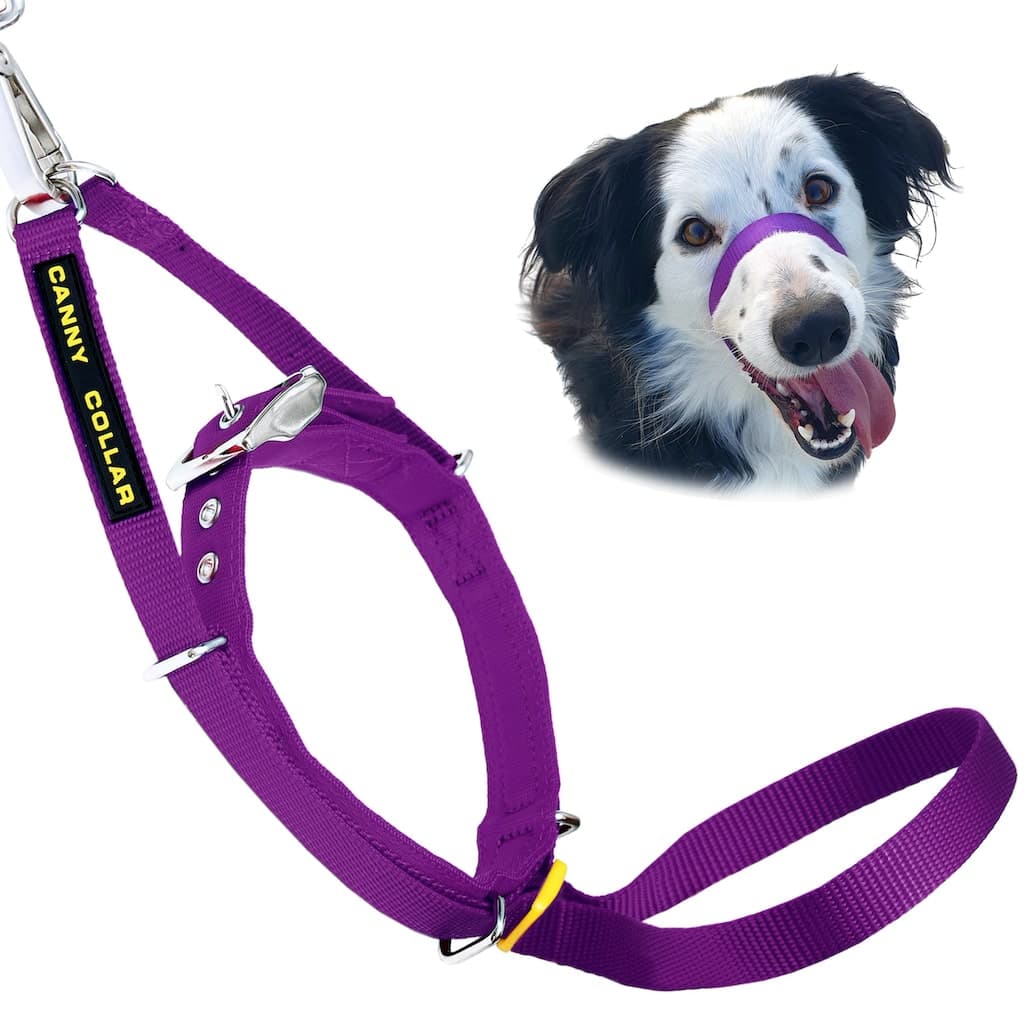Canny Collar - Dog Training Headcollar