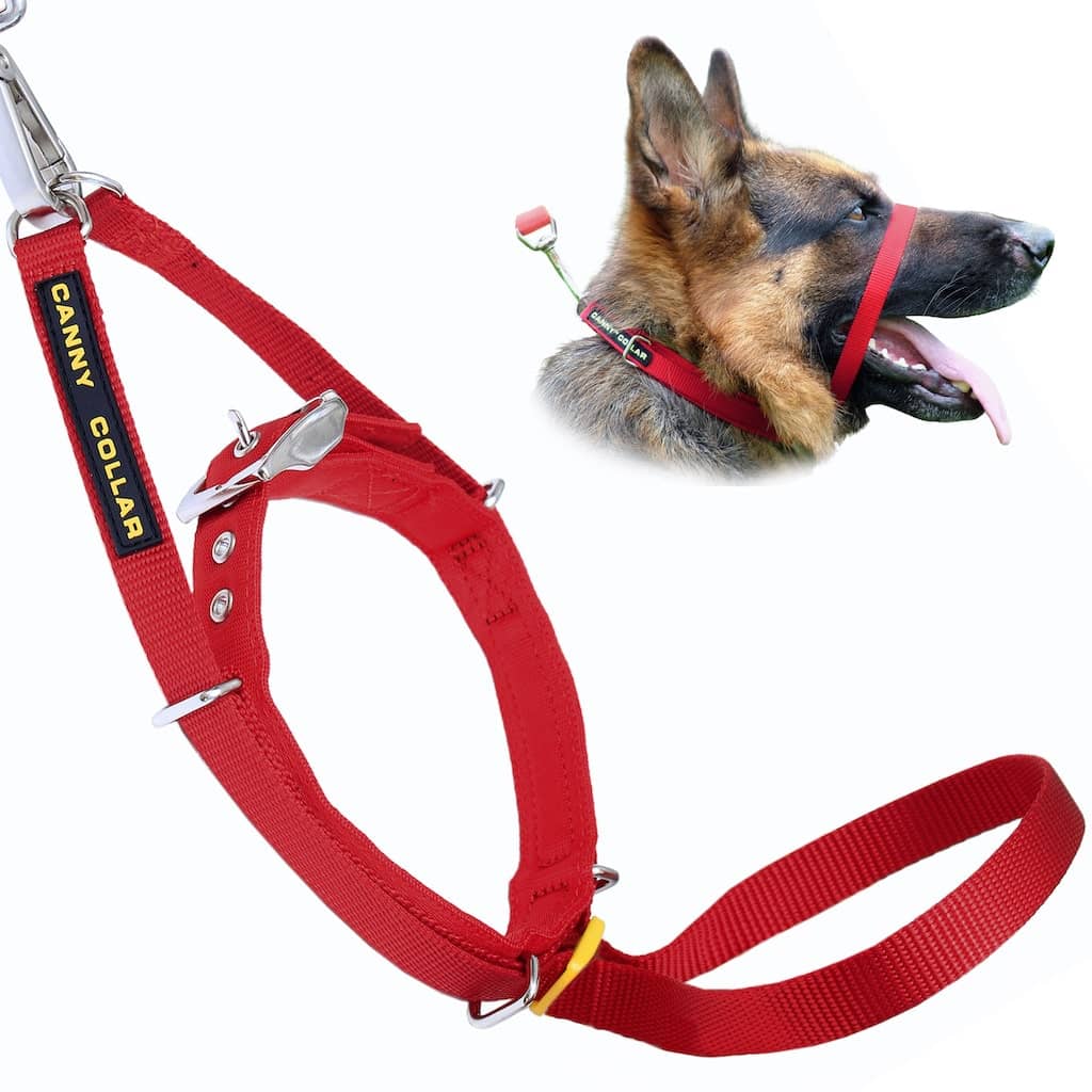 Canny Collar - Dog Training Headcollar