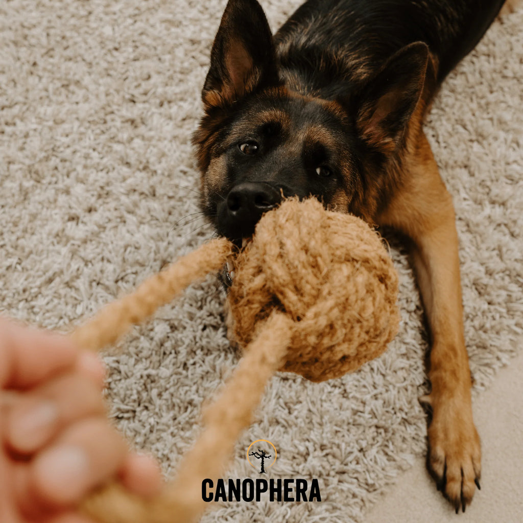 Canophera Coco Ball Chew Tug Toy